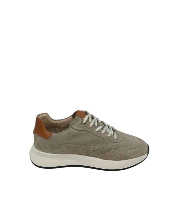 AMBITIOUS SNEAKER LACCI IN CAMOSCIO COLORE TAUPE CON TOPPONCINO CUOIO, FONDO GOMMA AVORIO